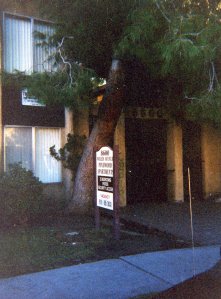 Apartment on Willis.